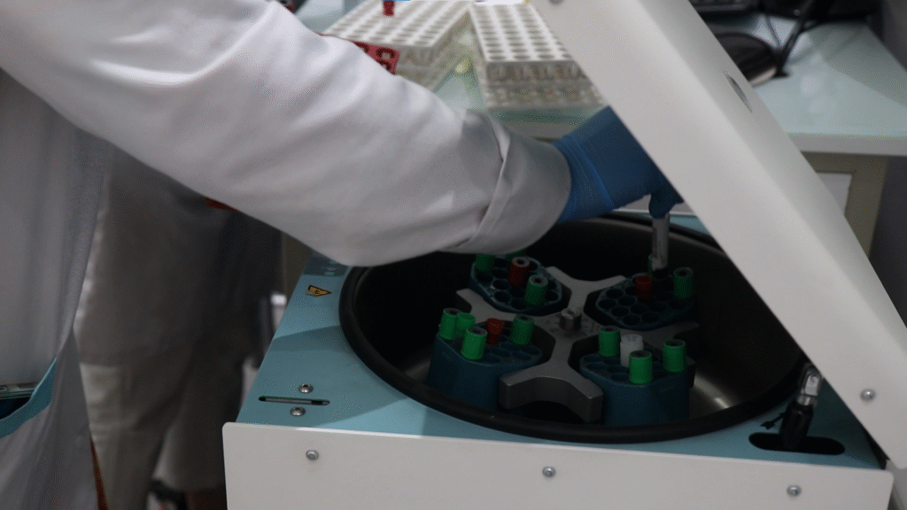 Capture d’écran 2025-09-26 164047